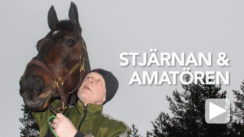Stjärnan & Amatören